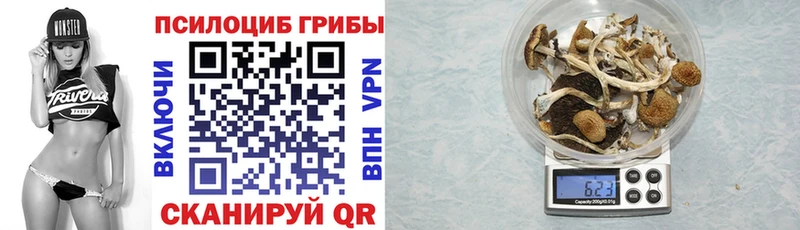 Псилоцибиновые грибы мицелий  Нязепетровск 